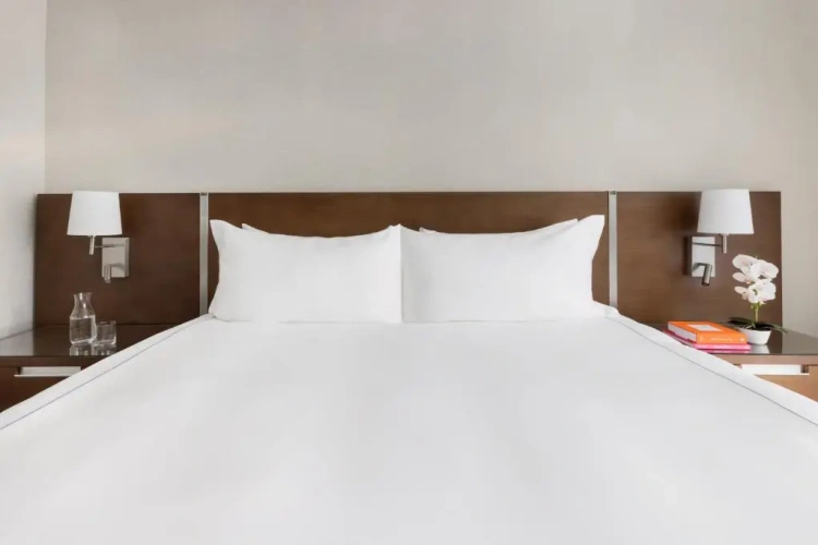 1 Bedroom Double Suite with balcony