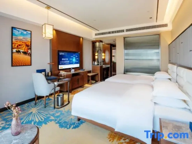 Deluxe Twin room with street view