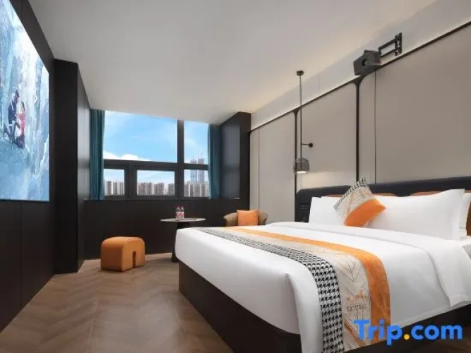 Standard Double room with city view