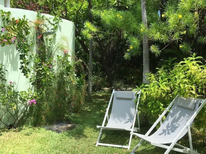 Standard Double room with garden view