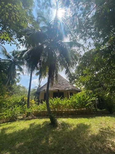 1 Bedroom Comfort Double room with balcony and with garden view