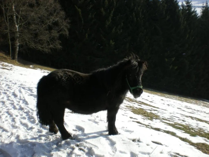 Schlintl-Hof