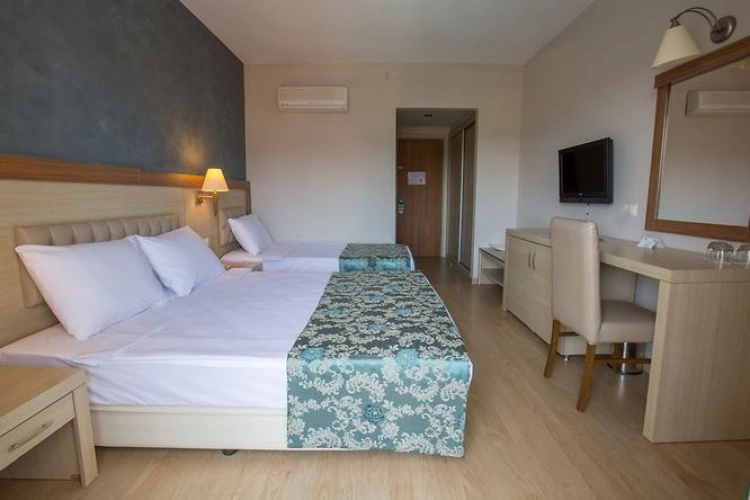 Standard Single room with land view
