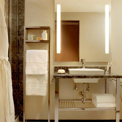 Moonrise Hotel St. Louis photo 12
