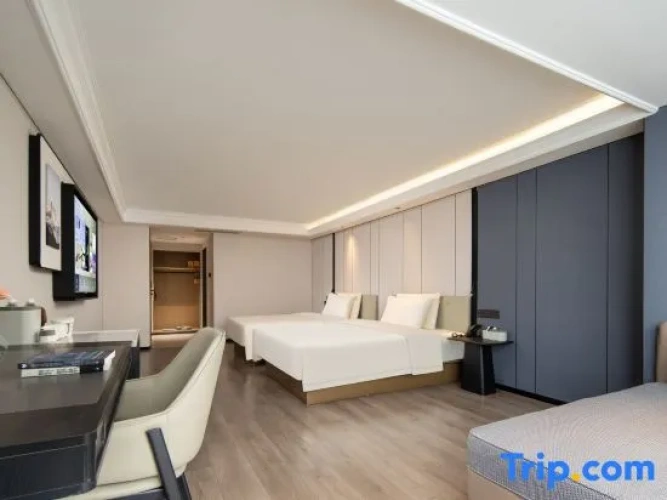 Deluxe Twin room with city view