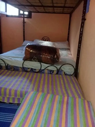 Bed in Dorm