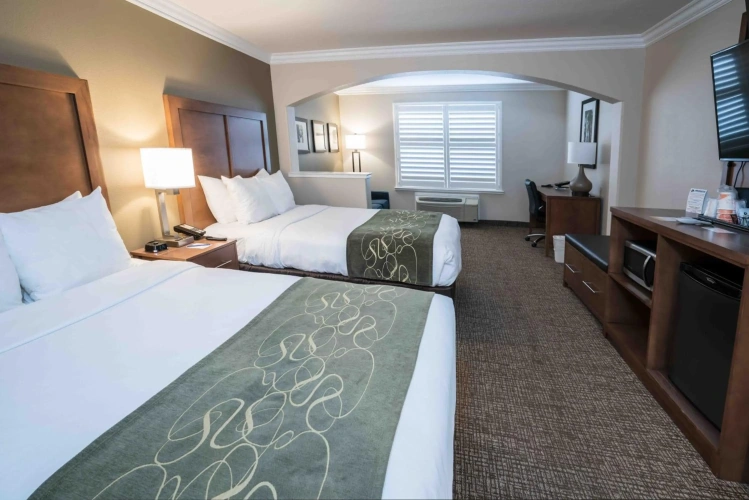 Guest rooms
