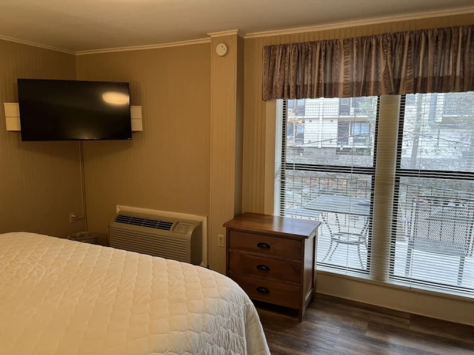 Standard room with river view