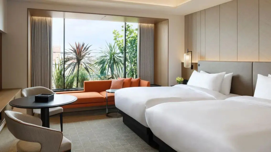 Deluxe Twin room with city view