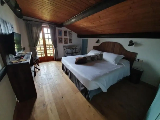 Deluxe Double room with balcony and with garden view