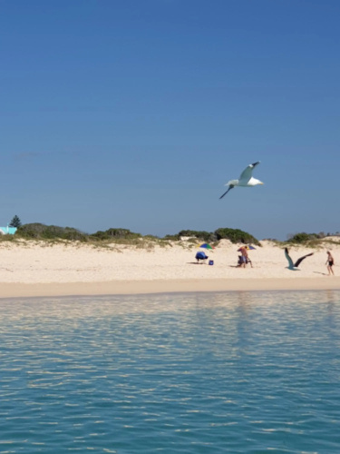 Spring Tide on 28 Main Struisbaai