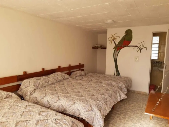 Bungalows Villa Limon