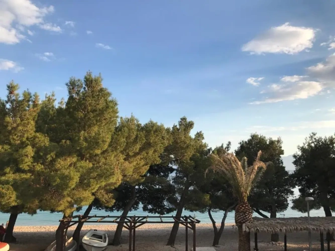 Standard Double room with sea view