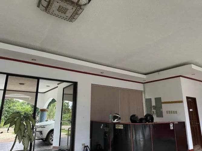 Fomo hostel palawan