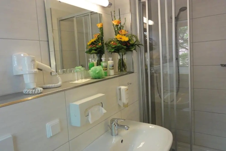 Classic Single room