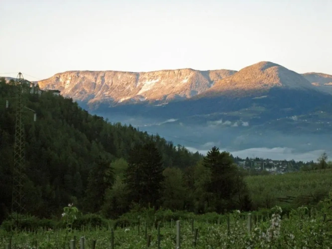 Standard Double room with mountain view
