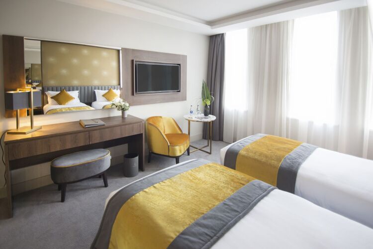 Iveagh Garden HotelOver view