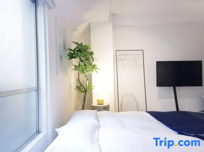 1 Bedroom Suite
