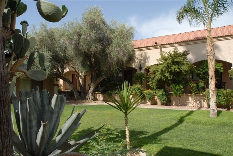 Best Western Phoenix Goodyear Inn photo 16
