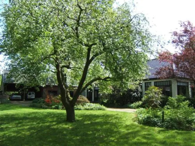 B&B"De Hassehof"