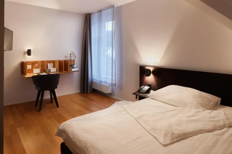 Deluxe Single room