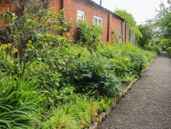 Cottage