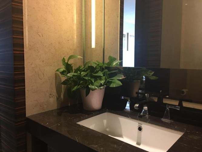 Business Suite