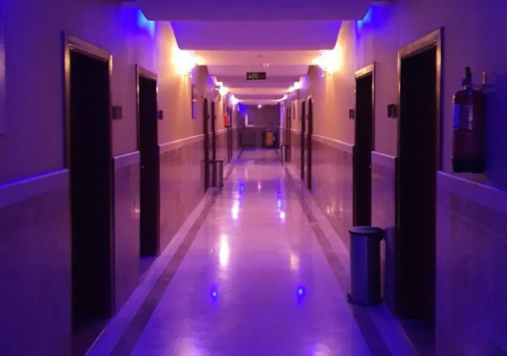 Aseel oasis