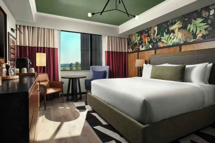 Standard Double room with city view
