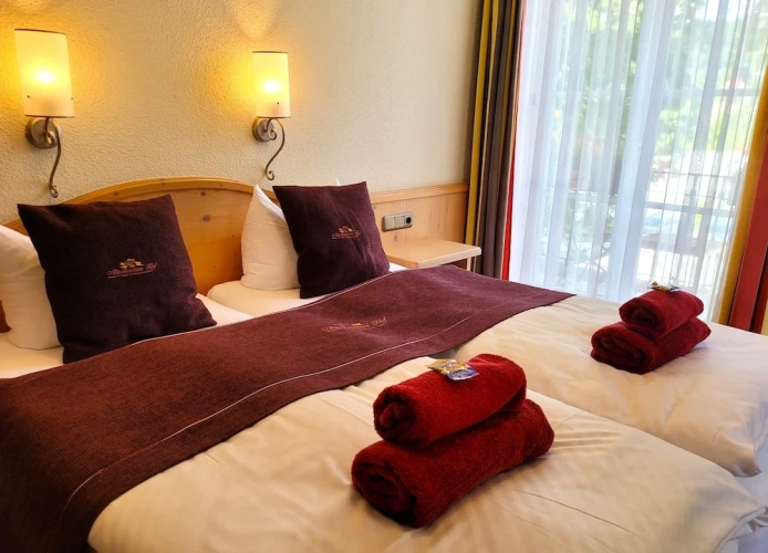 Deluxe Double room with balcony and with river view