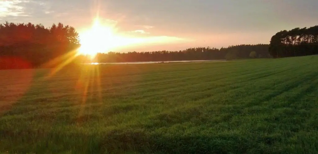 Ferienhof Amslinger