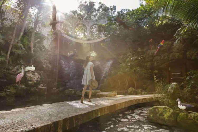 Hotel Xcaret Arte - All Parks All Fun Inclusive - Adults Only photo 42