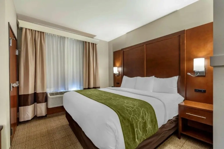 Quadruple Suite