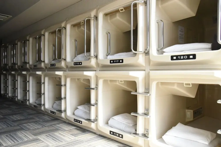 Standard Capsule