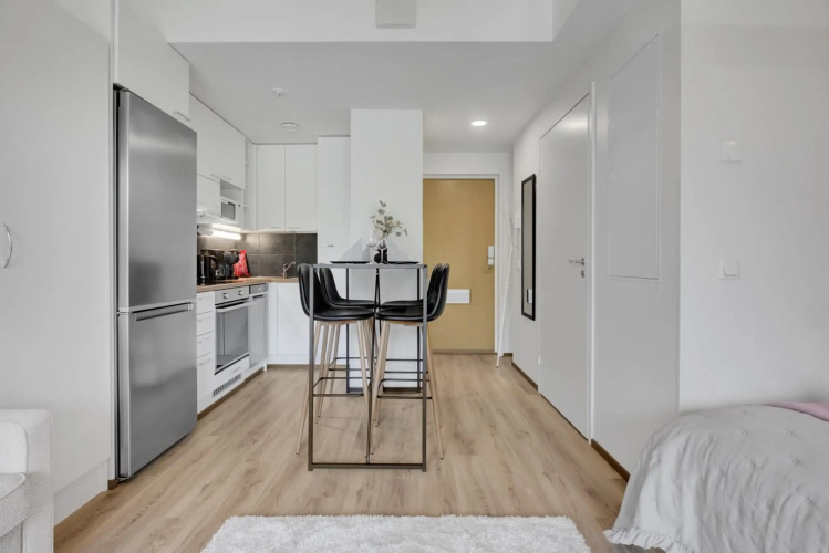 Apartment Scandinavia III