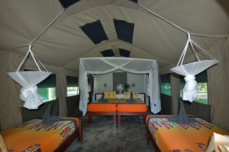 Zambezi Mubala Camp