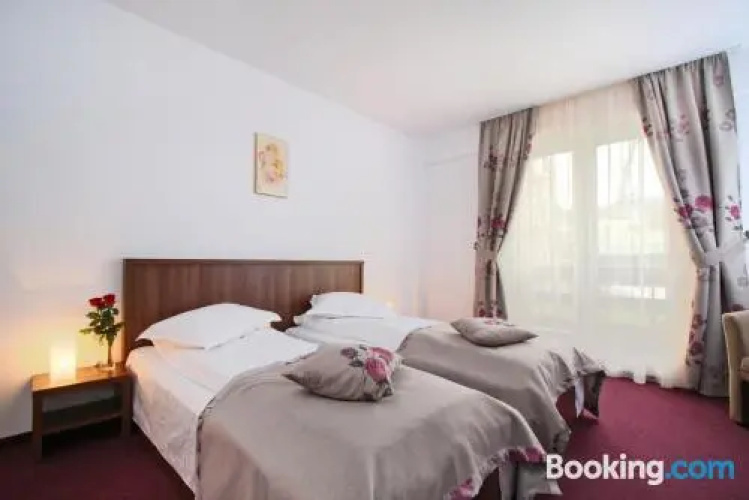 Hotel Domnitei