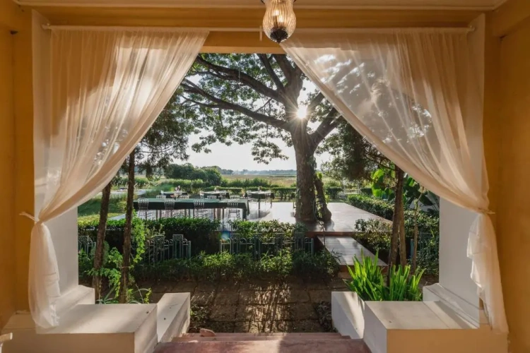 Standard Double room with garden view
