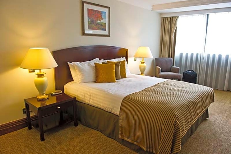 1 Bedroom Superior room