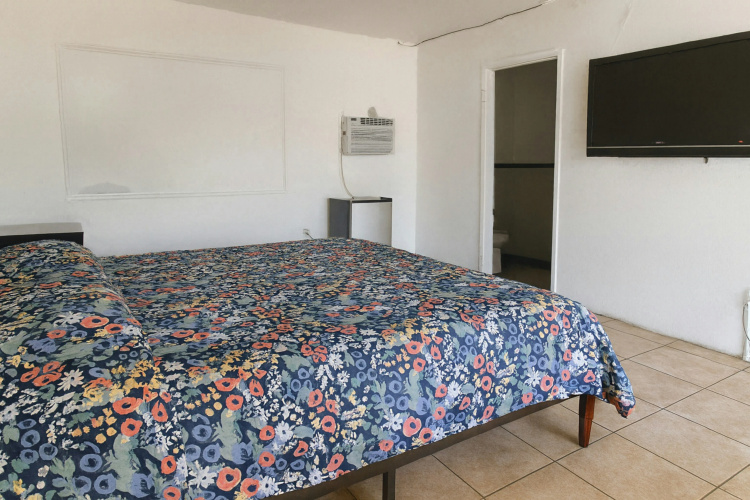 Antigua Motel By Oyo Tampa Us - 41 - Tampa