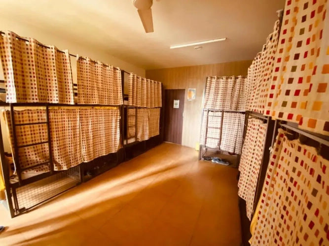 Bed in Dorm