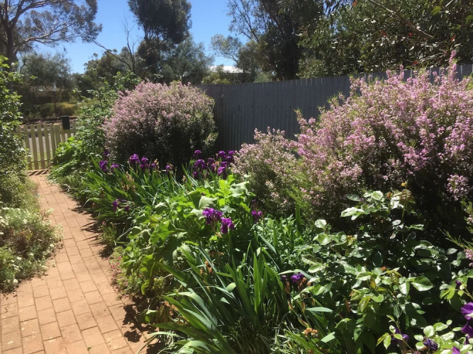 Blyth Cottage Burra