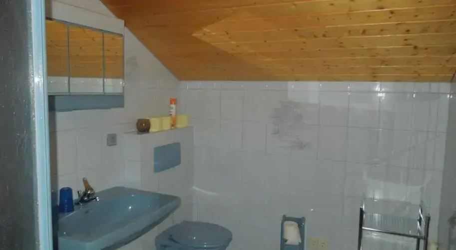 Apartement Steiner