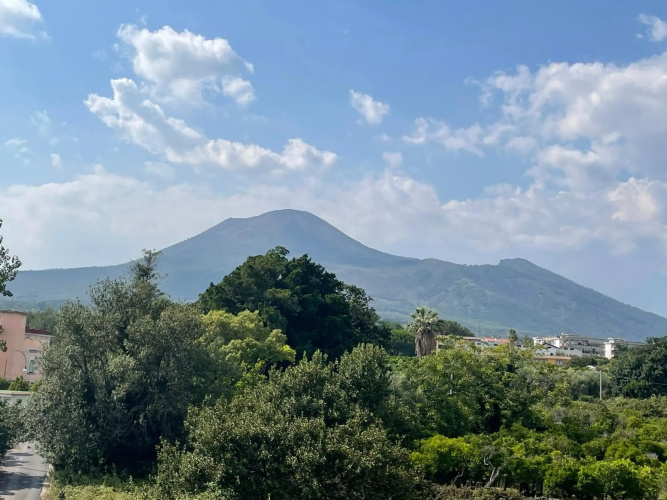 Vesuvius garden