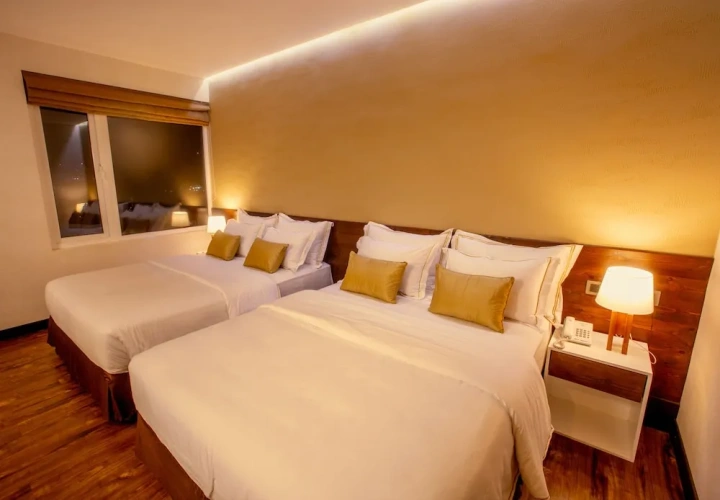 Deluxe Twin room with city view