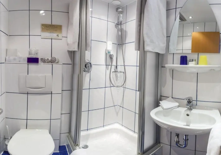 Superior Single room
