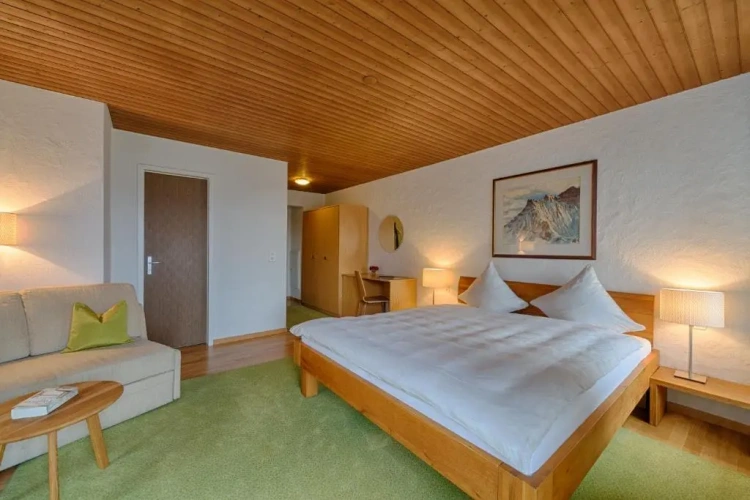 Deluxe Double room with balcony and with lake view
