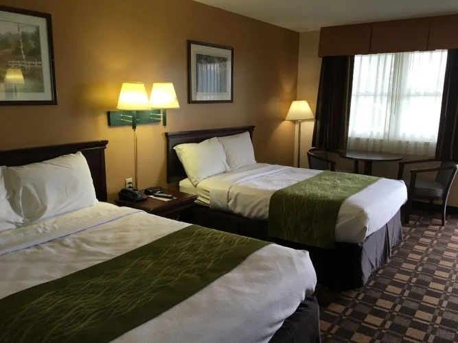Standard Quadruple room