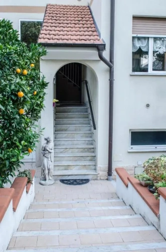 Basement Apartment