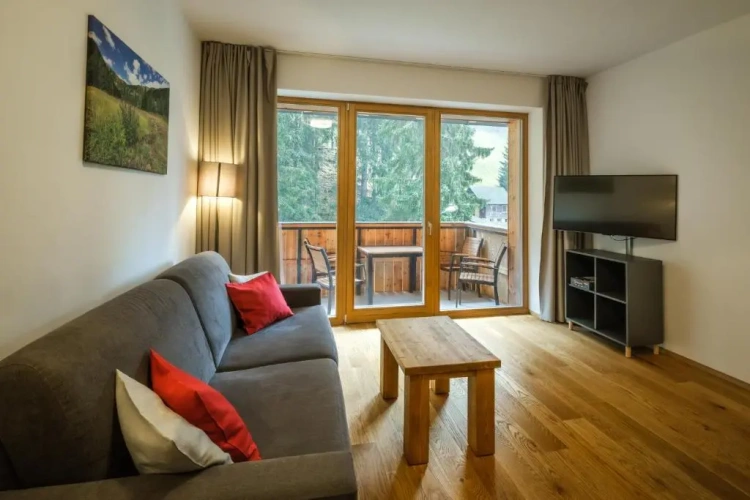 1 Bedroom Apartment